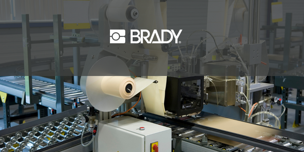 Efficient product receiving & picking using Voice enabled SAP Warehouse Management - Brady